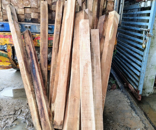 Teak Wood in Chennai